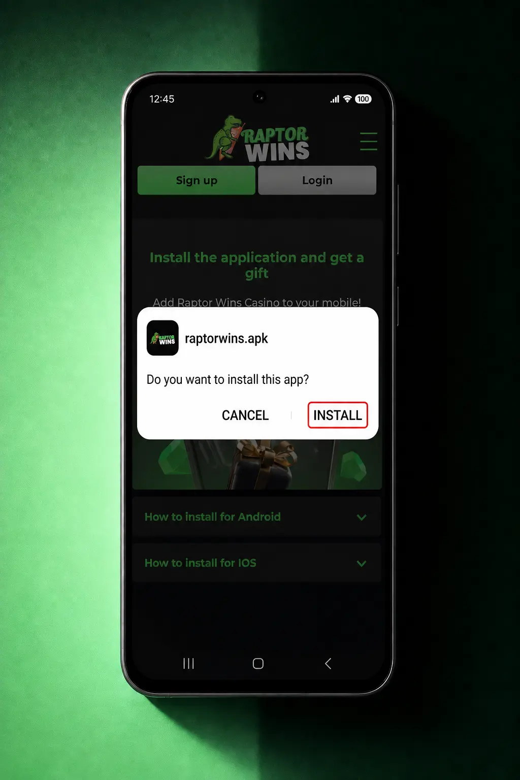 Step-by-step guide to download and install the Raptor Wins PWA app on Android via Chrome browser home screen setup.